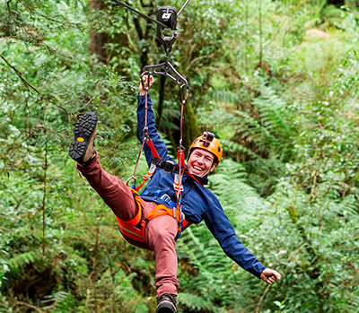 Otway Fly Tree Top Adventures .jpg