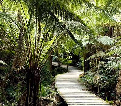 Great Otaway National Park .jpg