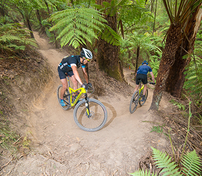 Forrest Mountain Bike Trails .jpg